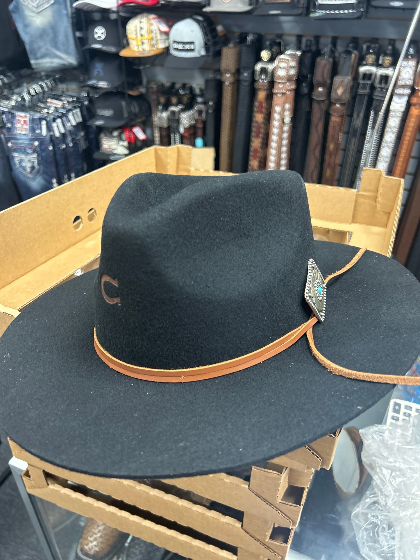 Charlie horse Women hat