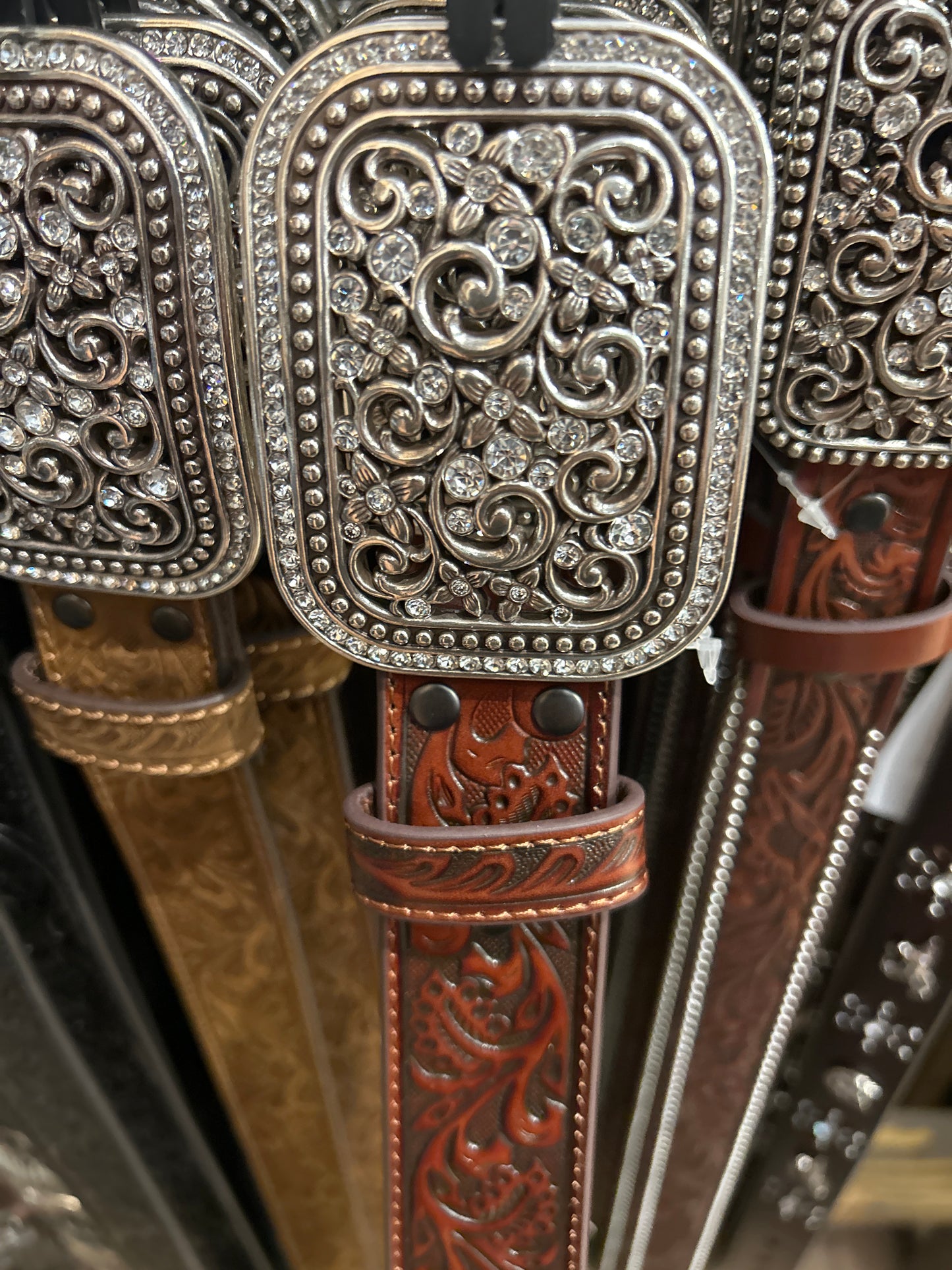 Women ariat belts