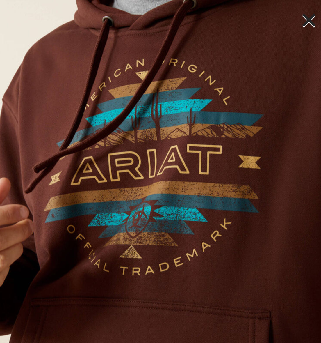 Ariat Mens Carlsbad Canyon Hoodie